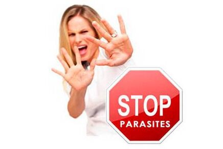 Fights parasites in the body