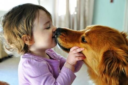Worm infection from dogs